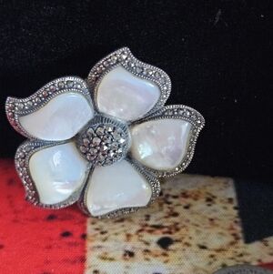 Elegant Silver and Mother Of Pearl Brooch